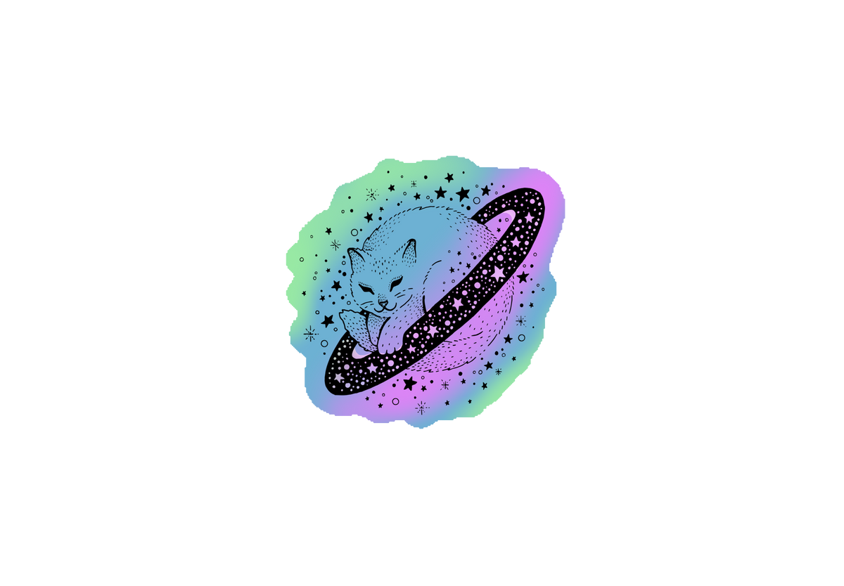 Space kitty